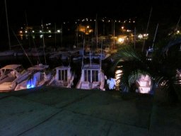 Visite de la petite cousine !